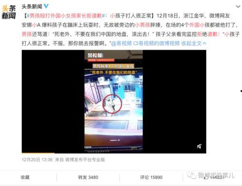 中牟大事件爆料视频,视频爆料背后的真相与影响