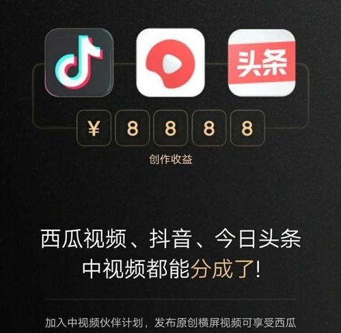 只有头条号能看抖音吗,头条号独享的神秘魅力