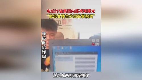 爆料公司视频,一窥企业真实面貌