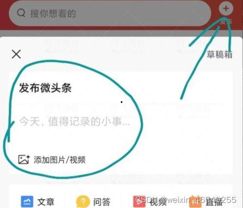 微头条新人怎么发布,轻松发布你的第一条内容
