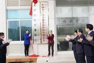 大新县新闻头条,聚焦乡村振兴，共绘美丽家园新画卷