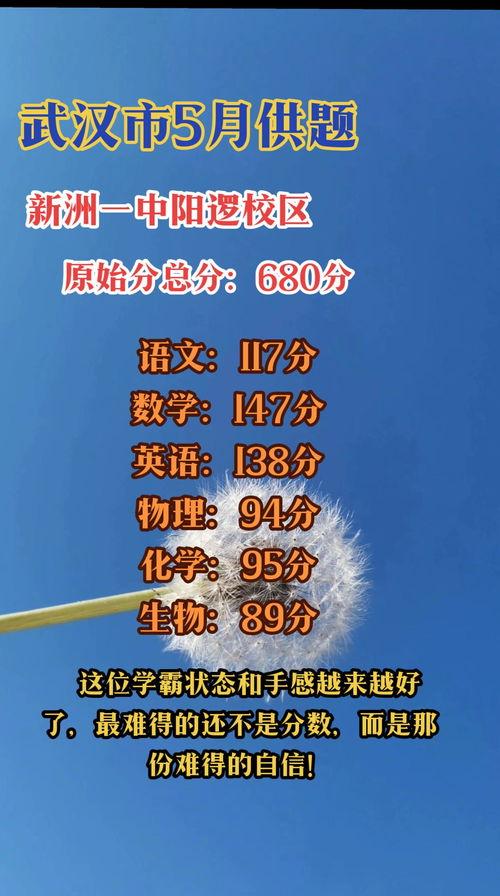 广西雨亭今日头条,探寻自然之美，感受生态魅力