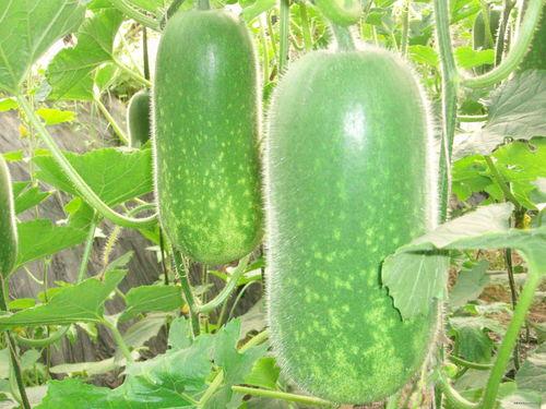 吃瓜爆料张凌赫视频大全,吃瓜爆料背后的精彩瞬间