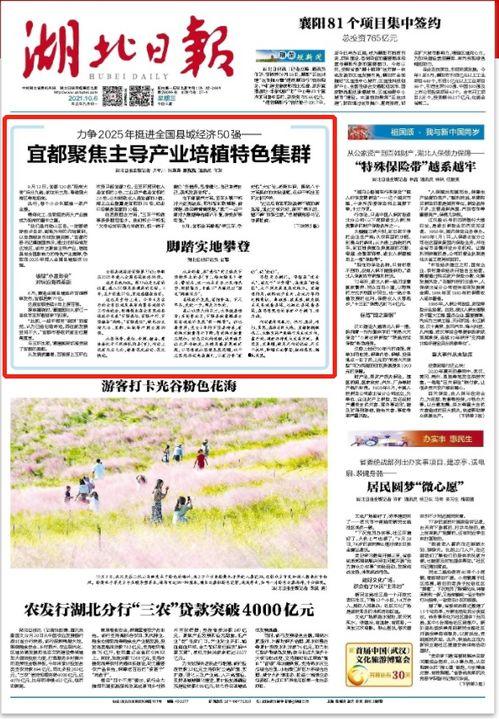 宜昌市疫情今日头条,多举措防控，守护市民健康安全