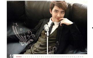 韩国exo明星血型,探寻偶像们的神秘血缘之谜