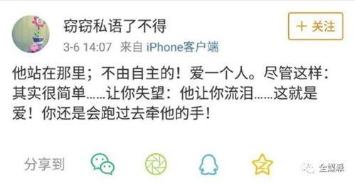 头条零星文字怎么写,探寻新闻背后的真相