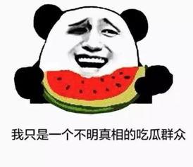 回答吃瓜问题,那些你不知道的吃瓜真相