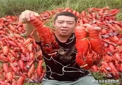 泰国网红胖哥吃龙虾,美味诱惑引发网友热议