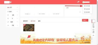 查询名下实名头条号账号