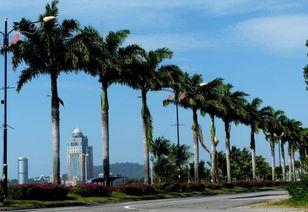 江门一日游网红景点推荐,打卡网红景点，尽享城市风情