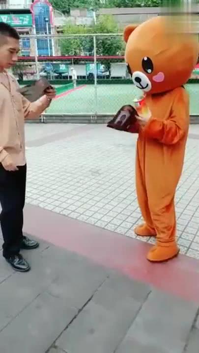 网红熊被路人抓到视频,路人镜头下的萌态瞬间走红网络