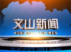 惠州文山新闻头条最新,聚焦绿色发展，打造生态宜居新城区